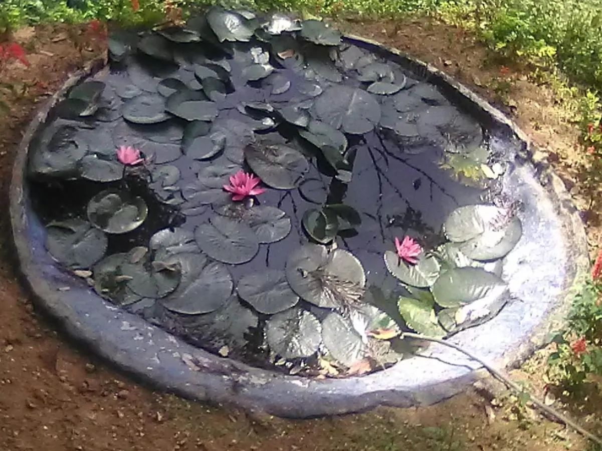 Bed & Breakfast Blackcherry Munnar